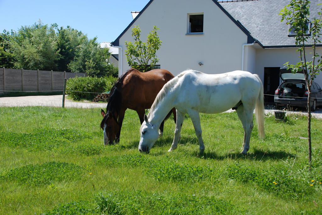 Roulotte Gites O Bien-Etre Massage Spa Sejour Bien-Etre En Hebergement Insolite Roulotte Karantez Ou En Gites Melon Ou Yock A 800 M Des Plages Maison D'Hote Drogou Porspoder Pokoj fotografie