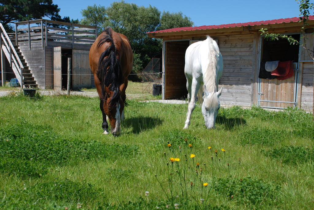 Roulotte Gites O Bien-Etre Massage Spa Sejour Bien-Etre En Hebergement Insolite Roulotte Karantez Ou En Gites Melon Ou Yock A 800 M Des Plages Maison D'Hote Drogou Porspoder Pokoj fotografie